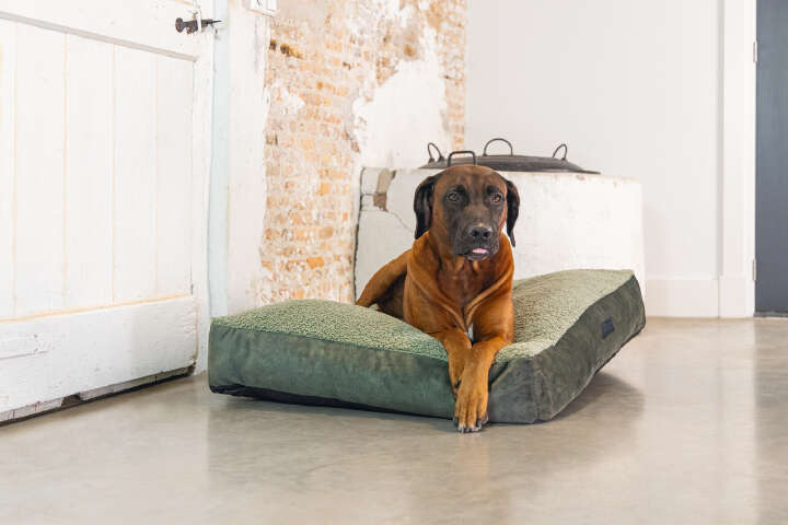 Designed by Lotte Hundekissen Yndis